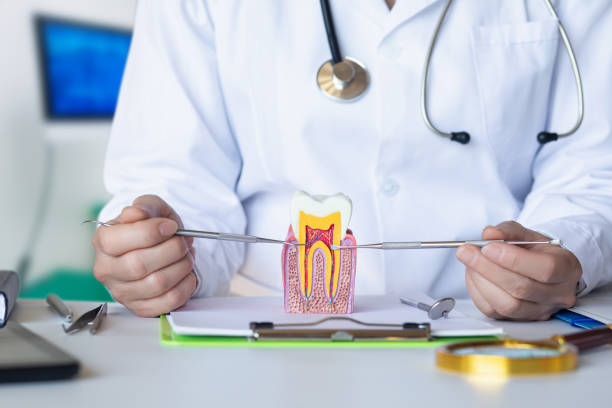 Best Emergency Dental Care for Broken or Chipped Teeth in Bridgeport, WV